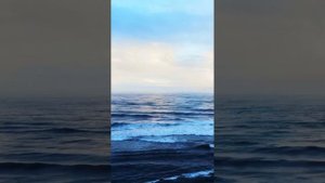 Медитация для женщин 23 февраля 2025 г.