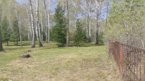 Бурмистрово база отдыха