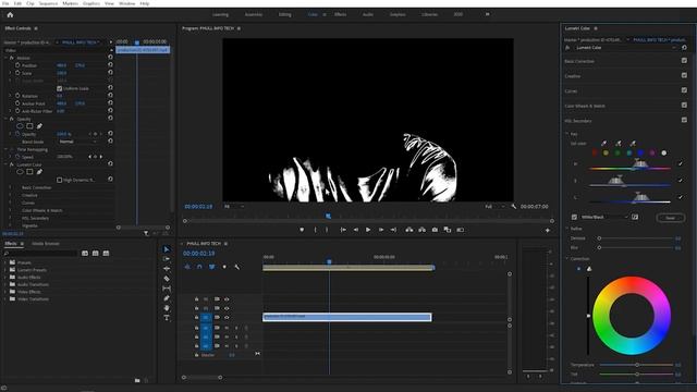 how to change color in premiere pro|URDU|HINDI|Part-70 смотреть онлайн