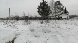 Приехали зимой на дачу 🤦🤭😊