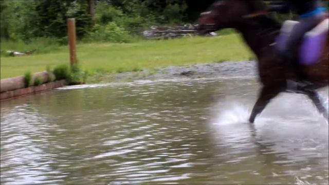 Ad :D смотреть онлайн