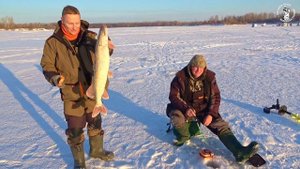 МЕРЯЕШЬ МОЙ ТРОФЕЙ?! ВСЁК И ТАЩИТ, ОВЛАДЕВАЕТ!!