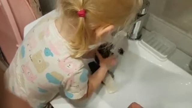 архив Мира Мак стирает 2 года 2019 год смотреть онлайн