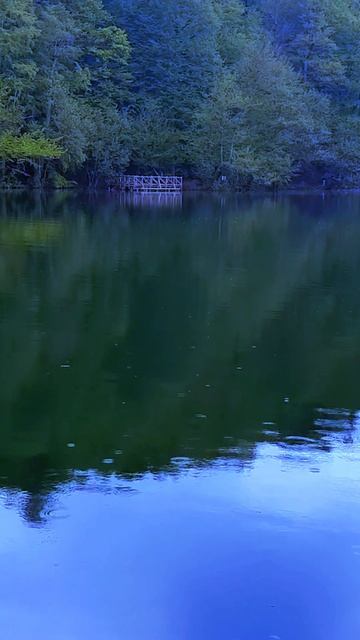 Нужно ценить то, что у тебя есть