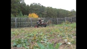 Самодельная борона для уборки ботвы и травы