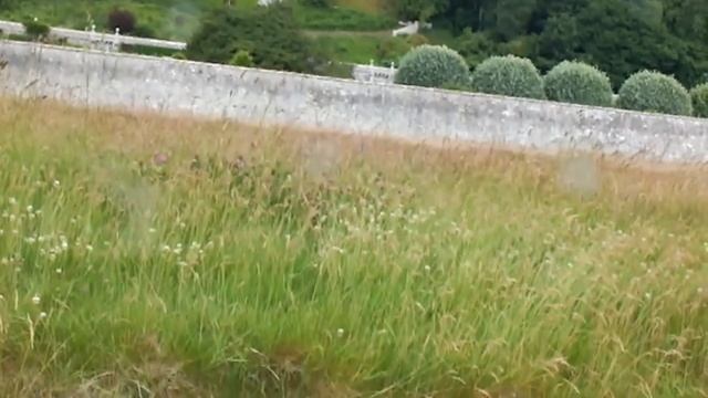 wonders of Dunrobin Castle #Scotland Tour смотреть онлайн