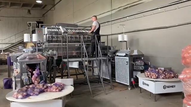 12-канальный автоматический дозатор ВС-12/180 с подающим элеватором (Фасовка лука) смотреть онлайн