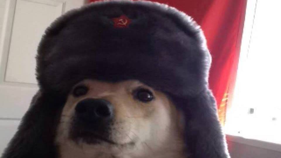 Bella ciao смотреть онлайн