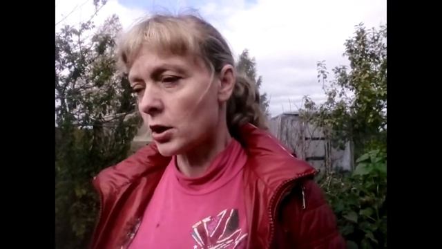 Работа на лесозаготовках