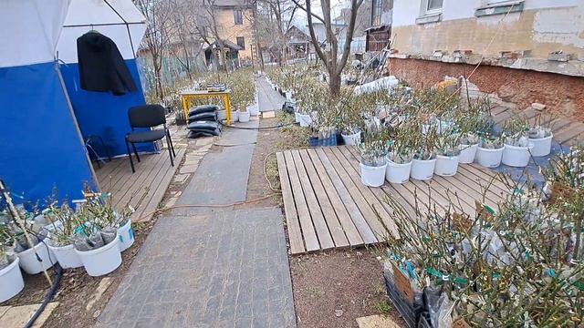 Заказы готовы к выдаче по адресу Нижний Новгород улица Страховая 24 смотреть онлайн