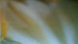 Чур, никого сегодня не трогать,пусть никого не царапает коготь, зуб не (м/ф"Птичка Тари")наброски)