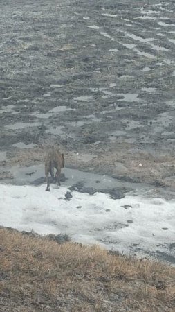 1000007420.mp4
