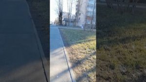 Прогулка утренняя по весенней ул. Крыленко
