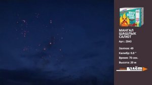 Салют Мангал Шашлый Салют VzletSalut Z843