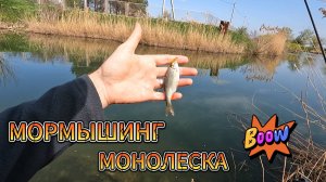 Мормышинг с монолеской.