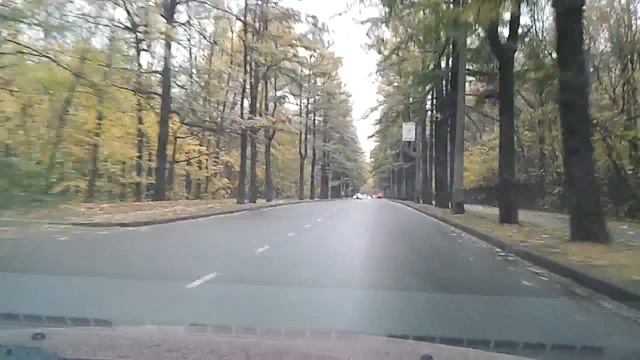 Дорога до дрессировочной площадки смотреть онлайн