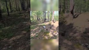 Озеро в карпинске