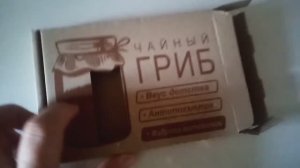 Чайный гриб с Фикс Прайс