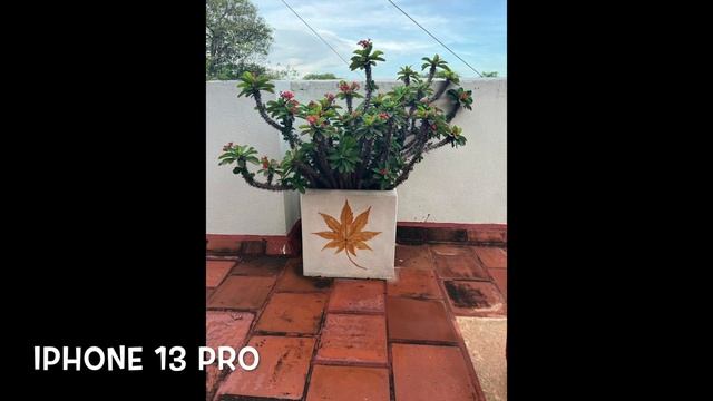 Camera Comparison : Apple iPhone 13 Pro vs Google Pixel 6a смотреть онлайн