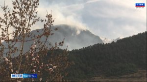 Вести Дагестан 02.04.25 г. 11.30