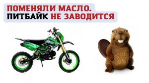 Поменяли масло на питбайке, больше не заводится