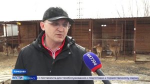 Осужденные УФИЦ ИК -5 помогают приюту для животных