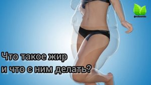 Что такое жир и что с ним делать? О.А.Бутакова