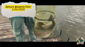 Запуск и пополнение садков 2.04.25