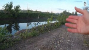 ЕСТЕСТВЕННЫЕ НАЖИВКИ или ХИМИЯ?!! САМАЯ ЛЮБИМАЯ РЫБАКАМИ РЫБА ПРЕДПОЧИТАЕТ ЭТО!!