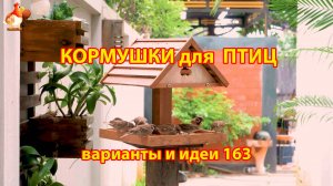 Кормушка для птиц своими руками как сделать пошагово  (163) 🪚🪛🔨 Идеи для дачи и сада❣️