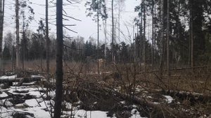 Участок 3Га в Берюлево