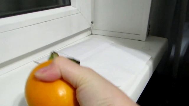 Типа обычная хурма... смотреть онлайн