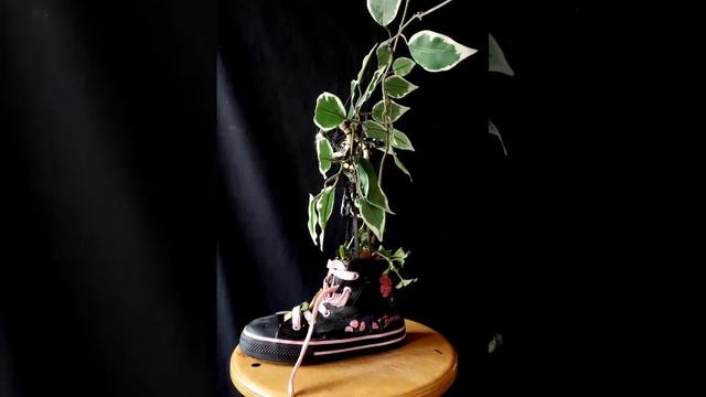 Marina Loser смотреть онлайн