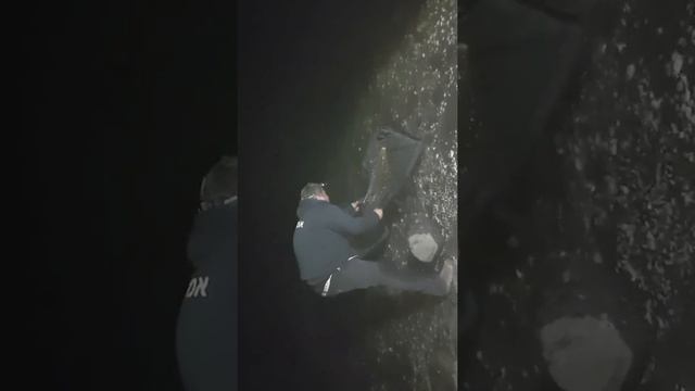 Кинерет .Карп. Рыбалка смотреть онлайн