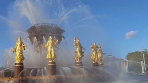 Каменный цветок в воде...