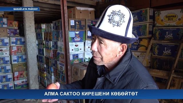 Алма сактоо кирешени көбөйтөт смотреть онлайн
