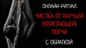 СНЯТЬ ПАУЧЬЮ (ОКОЛЬЦОВЫВАЮЩУЮ, ОПЛЕТАЮЩУЮ) ПОРЧУ.ОНЛАЙН-РИТУАЛ