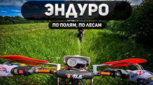 Лесные тропы: Курс на грязь и скорость!