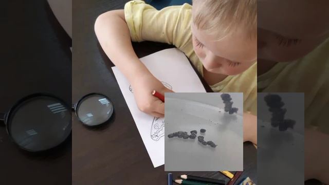 25 сентября 2019 г. смотреть онлайн