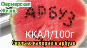 Сколько калорий в арбузе
