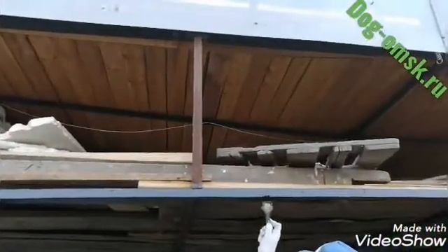 Сектор почти благоустроен 15.09.20г. смотреть онлайн