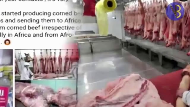 लावारिस लाशों का Neighbour Countries में बड़े स्तर पर होता है कारोबार смотреть онлайн