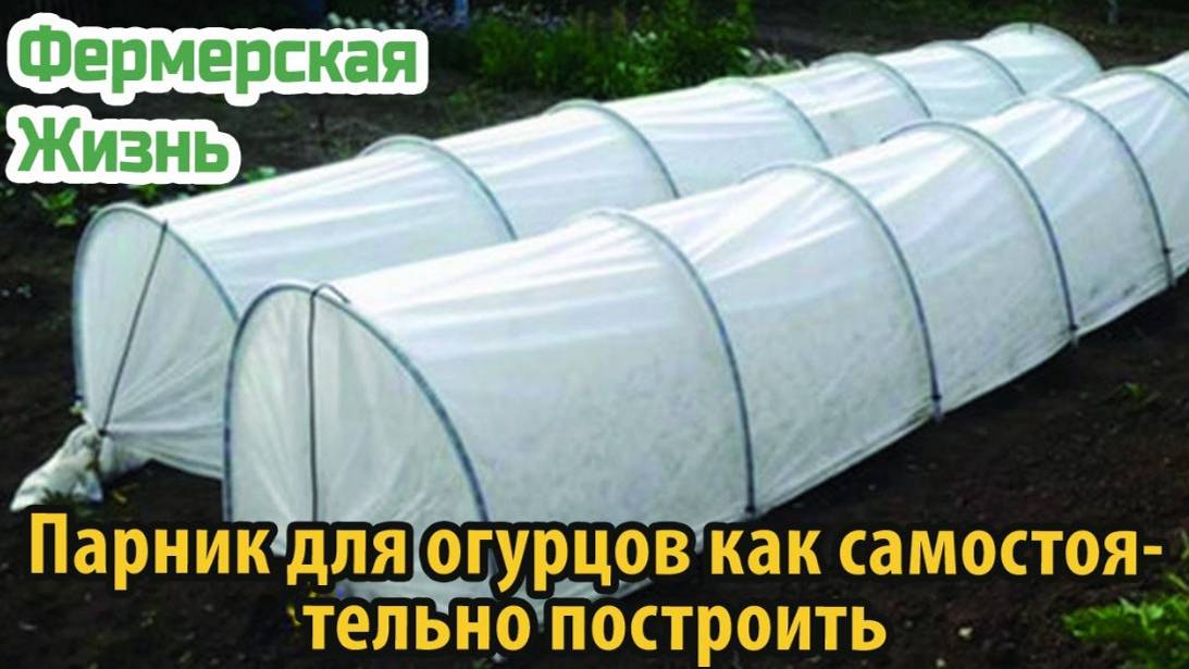 Парник для огурцов как самостоятельно построить