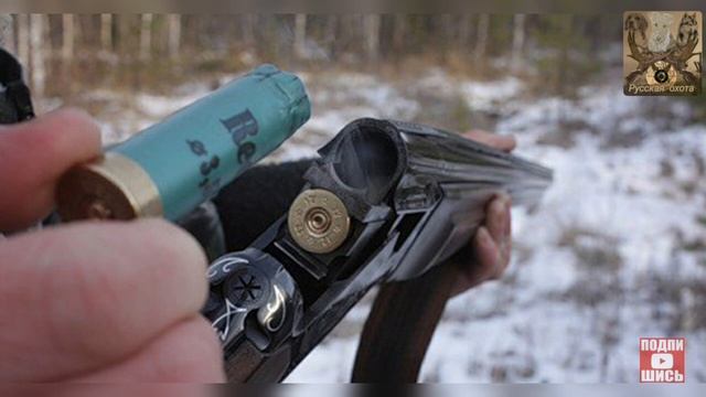 Можно ли стрелять без путевки в лесу смотреть онлайн