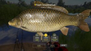 БЕШЕННАЯ РАЗДАЧА ТРОФОВ НА МЕДВЕЖЬЕМ ОЗЕРЕ В РУССКОЙ РЫБАЛКЕ 4 РР4