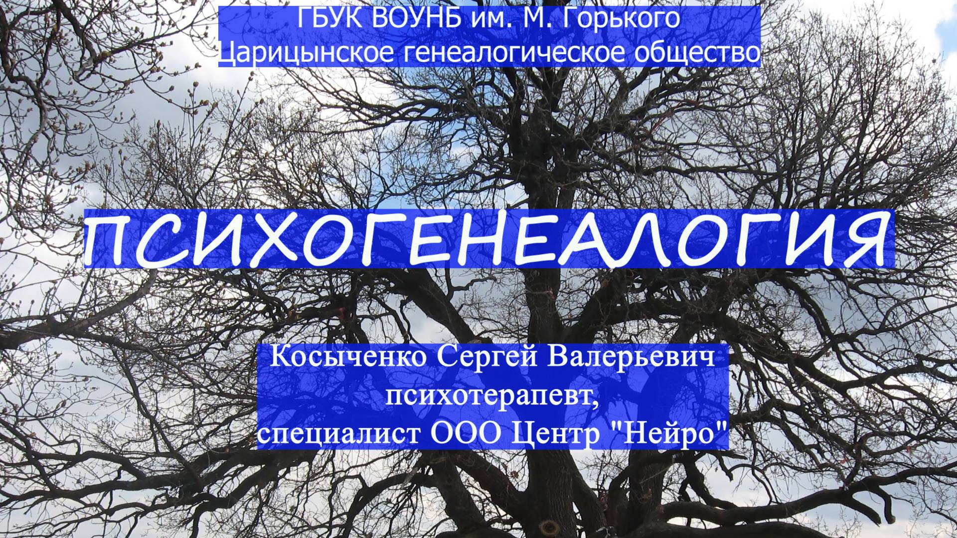 Психогенеалогия. С. В. Косыченко