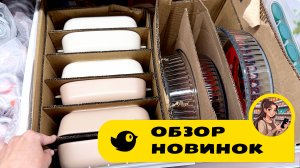 ЧИЖИК ПОСЛЕДНИЙ ЗАВОЗ НОВИНОК 💛ТОЛЬКО ИХ ВЫСТАВИЛИ, И УЖЕ КУПИЛИ 🔥 Обзор новинок недели