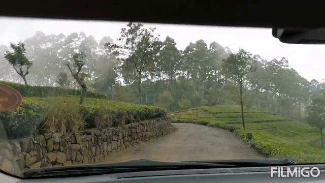 Beauty of Sri Lanka - On my way to Liptons seat at Haputale