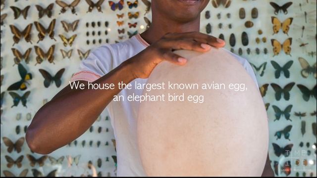 Cabinet de Curiosities, Miavana. Madagascar смотреть онлайн