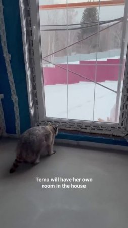 Дом для енота